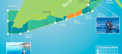 Découvrez le parc marin Professor Luiz Saldanha à Sesimbra : un sanctuaire pour la faune et l'écotourisme